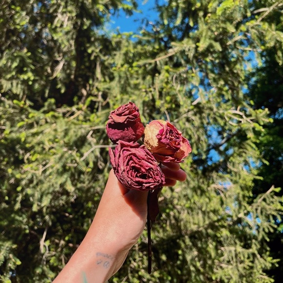 🥀🖤Air Dried Roses🖤🥀 - Picture 2 of 2
